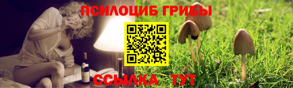 Псилоцибиновые грибы мицелий Урай
